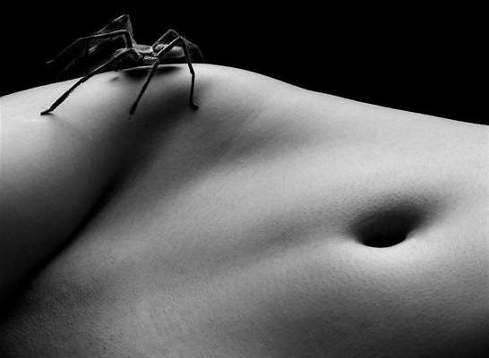 Le 10 perversioni sessuali più bizzarre Le 10 perversioni sessuali più bizzarre