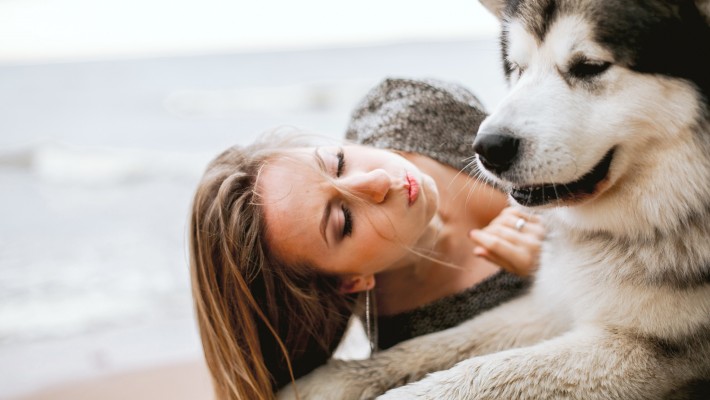 Perché le persone fanno sesso con gli animali? Perché le persone fanno sesso con gli animali?
