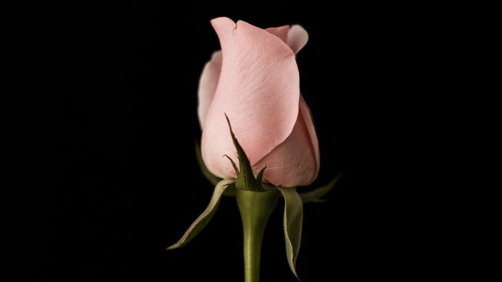 Lasciata per la vagina larga. Cosa posso fare? Lasciata per la vagina larga. Cosa posso fare?