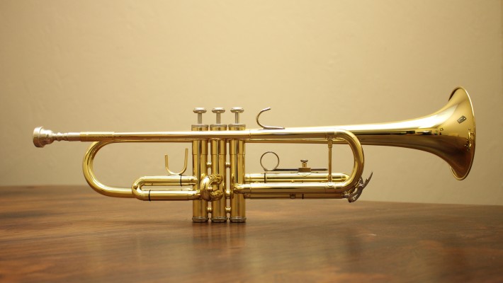 Cosa è il “rusty trombone”?