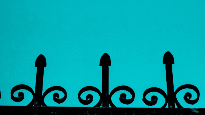 Tutto sul pene: 8 informazioni da sapere Tutto sul pene: 8 informazioni da sapere
